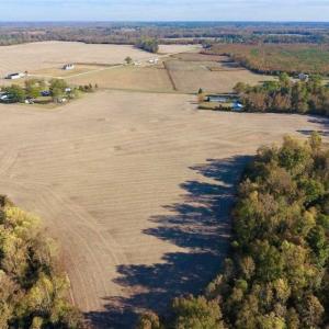 Photo of SOLD!!  23.81 Acres of Farm Land For Sale in Craven County NC!