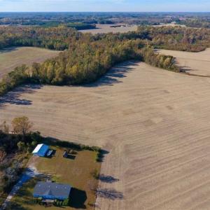 Photo of SOLD!!  23.81 Acres of Farm Land For Sale in Craven County NC!