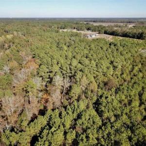 Photo of SOLD!!  17.17 Acres of Residential and Hunting Land for Sale in Scotland County NC!
