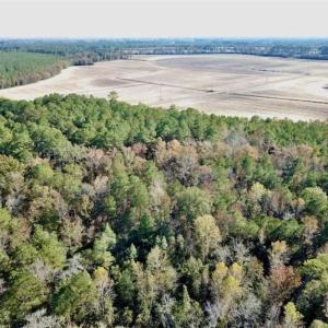 Photo of SOLD!!  17.17 Acres of Residential and Hunting Land for Sale in Scotland County NC!