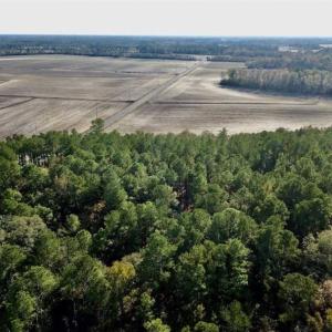 Photo of SOLD!!  17.17 Acres of Residential and Hunting Land for Sale in Scotland County NC!