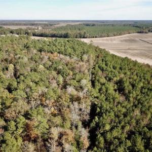 Photo of SOLD!!  17.17 Acres of Residential and Hunting Land for Sale in Scotland County NC!