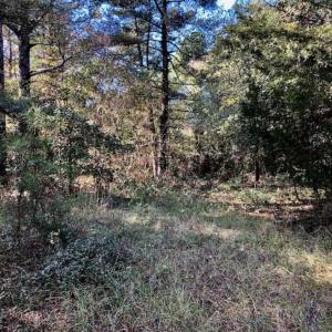 Photo of SOLD!!  17.17 Acres of Residential and Hunting Land for Sale in Scotland County NC!
