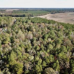 Photo of SOLD!!  17.17 Acres of Residential and Hunting Land for Sale in Scotland County NC!