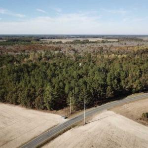 Photo of SOLD!!  17.17 Acres of Residential and Hunting Land for Sale in Scotland County NC!