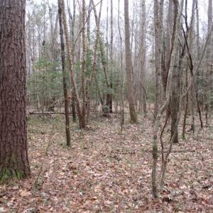 Photo of SOLD!!  17.24 Acres of Recreational and Residential Land For Sale in Pittsylvania County VA!