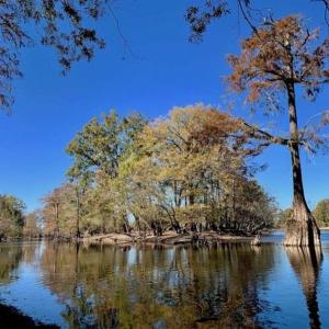 Photo of SOLD!!  271.34 Ac of Neuse Riverfront Farm & Timber Land For Sale in Craven Co NC!