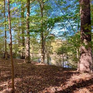 Photo of SOLD!!  271.34 Ac of Neuse Riverfront Farm & Timber Land For Sale in Craven Co NC!