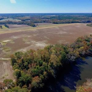 Photo of SOLD!!  271.34 Ac of Neuse Riverfront Farm & Timber Land For Sale in Craven Co NC!