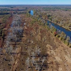 Photo of SOLD!!  271.34 Ac of Neuse Riverfront Farm & Timber Land For Sale in Craven Co NC!
