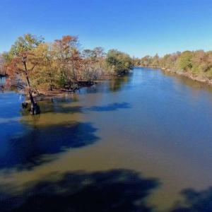 Photo of SOLD!!  271.34 Ac of Neuse Riverfront Farm & Timber Land For Sale in Craven Co NC!