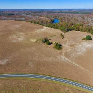 Photo of SOLD!!  271.34 Ac of Neuse Riverfront Farm & Timber Land For Sale in Craven Co NC!