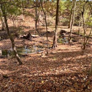 Photo of SOLD!!  271.34 Ac of Neuse Riverfront Farm & Timber Land For Sale in Craven Co NC!