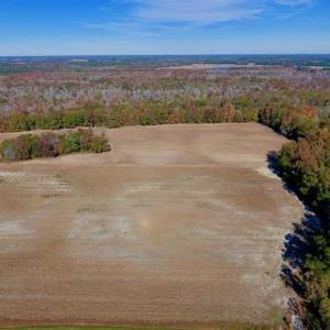 Photo of SOLD!!  271.34 Ac of Neuse Riverfront Farm & Timber Land For Sale in Craven Co NC!