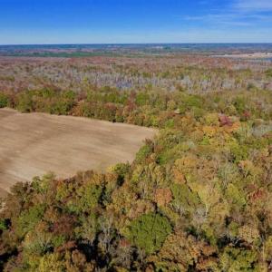 Photo of SOLD!!  271.34 Ac of Neuse Riverfront Farm & Timber Land For Sale in Craven Co NC!