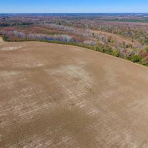 Photo of SOLD!!  271.34 Ac of Neuse Riverfront Farm & Timber Land For Sale in Craven Co NC!