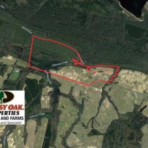 Photo of SOLD!!  271.34 Ac of Neuse Riverfront Farm & Timber Land For Sale in Craven Co NC!