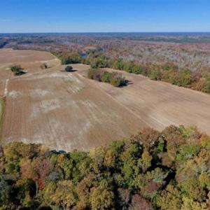 Photo of SOLD!!  271.34 Ac of Neuse Riverfront Farm & Timber Land For Sale in Craven Co NC!