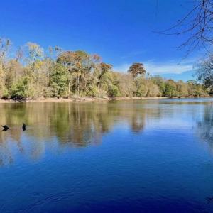 Photo of SOLD!!  271.34 Ac of Neuse Riverfront Farm & Timber Land For Sale in Craven Co NC!