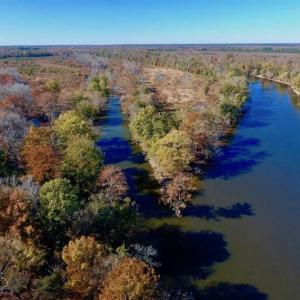 Photo of SOLD!!  271.34 Ac of Neuse Riverfront Farm & Timber Land For Sale in Craven Co NC!