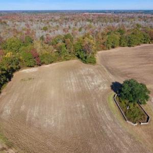 Photo of SOLD!!  271.34 Ac of Neuse Riverfront Farm & Timber Land For Sale in Craven Co NC!