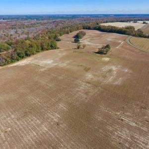 Photo of SOLD!!  271.34 Ac of Neuse Riverfront Farm & Timber Land For Sale in Craven Co NC!