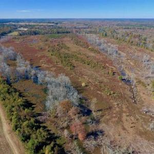 Photo of SOLD!!  271.34 Ac of Neuse Riverfront Farm & Timber Land For Sale in Craven Co NC!