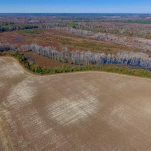 Photo of SOLD!!  271.34 Ac of Neuse Riverfront Farm & Timber Land For Sale in Craven Co NC!