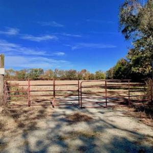 Photo of SOLD!!  271.34 Ac of Neuse Riverfront Farm & Timber Land For Sale in Craven Co NC!