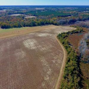 Photo of SOLD!!  271.34 Ac of Neuse Riverfront Farm & Timber Land For Sale in Craven Co NC!