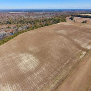 Photo of SOLD!!  271.34 Ac of Neuse Riverfront Farm & Timber Land For Sale in Craven Co NC!