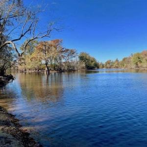Photo of SOLD!!  271.34 Ac of Neuse Riverfront Farm & Timber Land For Sale in Craven Co NC!
