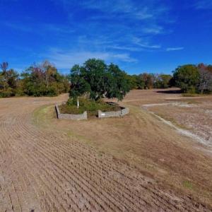 Photo of SOLD!!  271.34 Ac of Neuse Riverfront Farm & Timber Land For Sale in Craven Co NC!