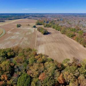 Photo of SOLD!!  271.34 Ac of Neuse Riverfront Farm & Timber Land For Sale in Craven Co NC!
