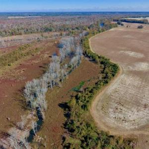 Photo of SOLD!!  271.34 Ac of Neuse Riverfront Farm & Timber Land For Sale in Craven Co NC!