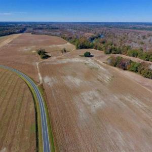 Photo of SOLD!!  271.34 Ac of Neuse Riverfront Farm & Timber Land For Sale in Craven Co NC!