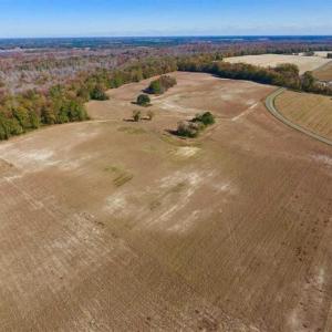 Photo of SOLD!!  271.34 Ac of Neuse Riverfront Farm & Timber Land For Sale in Craven Co NC!