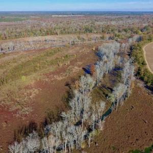 Photo of SOLD!!  271.34 Ac of Neuse Riverfront Farm & Timber Land For Sale in Craven Co NC!