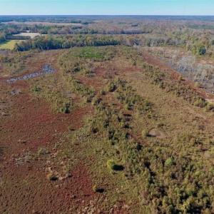 Photo of SOLD!!  271.34 Ac of Neuse Riverfront Farm & Timber Land For Sale in Craven Co NC!