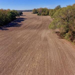 Photo of SOLD!!  271.34 Ac of Neuse Riverfront Farm & Timber Land For Sale in Craven Co NC!