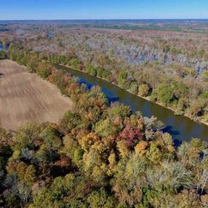 Photo of SOLD!!  271.34 Ac of Neuse Riverfront Farm & Timber Land For Sale in Craven Co NC!