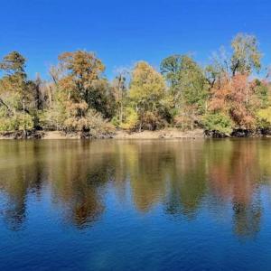 Photo of SOLD!!  271.34 Ac of Neuse Riverfront Farm & Timber Land For Sale in Craven Co NC!