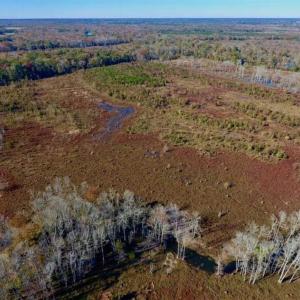 Photo of SOLD!!  271.34 Ac of Neuse Riverfront Farm & Timber Land For Sale in Craven Co NC!
