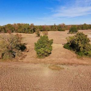 Photo of SOLD!!  271.34 Ac of Neuse Riverfront Farm & Timber Land For Sale in Craven Co NC!