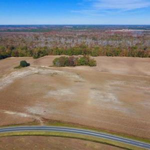 Photo of SOLD!!  271.34 Ac of Neuse Riverfront Farm & Timber Land For Sale in Craven Co NC!