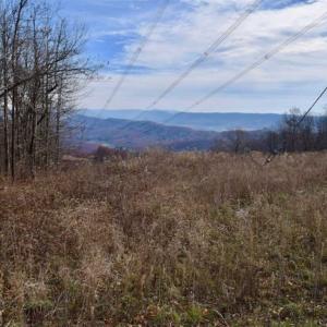 Photo of UNDER CONTRACT!!  208 Acres of Hunting and Recreational Land For Sale in Bland County VA!