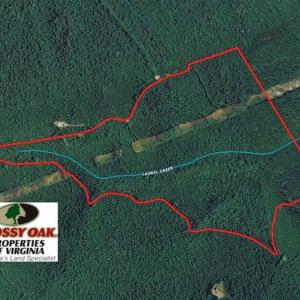 Photo of UNDER CONTRACT!!  208 Acres of Hunting and Recreational Land For Sale in Bland County VA!