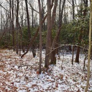 Photo of UNDER CONTRACT!!  208 Acres of Hunting and Recreational Land For Sale in Bland County VA!
