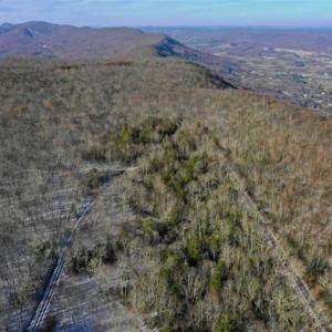 Photo of UNDER CONTRACT!!  208 Acres of Hunting and Recreational Land For Sale in Bland County VA!