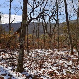 Photo of UNDER CONTRACT!!  208 Acres of Hunting and Recreational Land For Sale in Bland County VA!